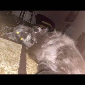 Meet your Posher, Jordan